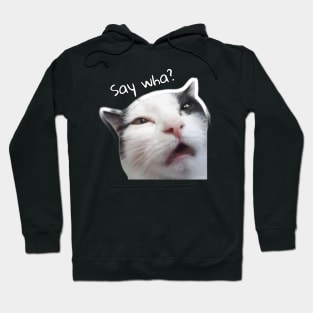 Cat confused Hoodie